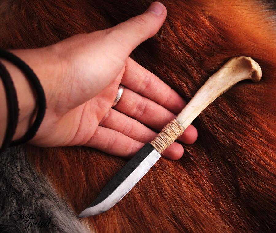 Domestic Cat Bone Knife