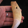 SOLD - Biggest Lion Tooth I've Ever Had