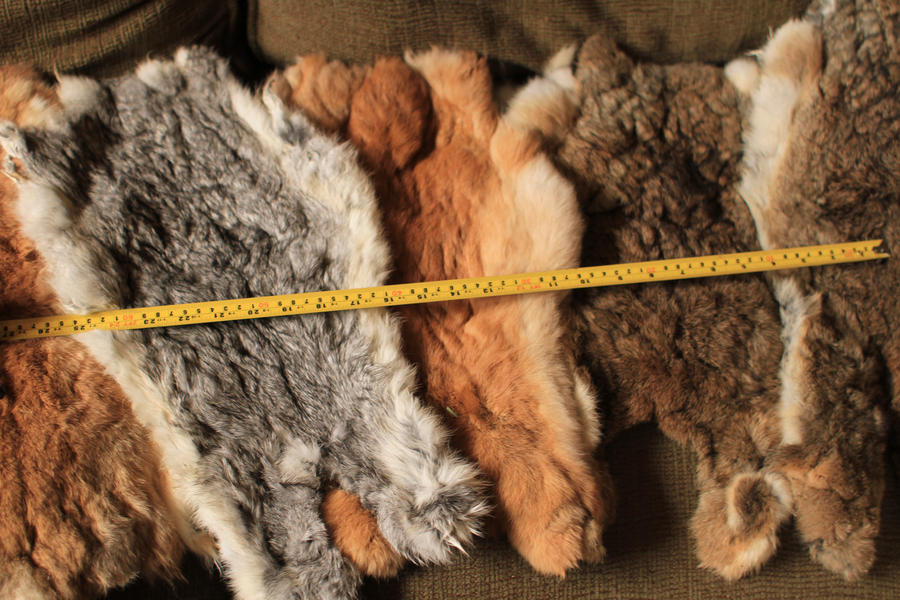 Dried Rabbit Hides For Sale by NaturePunk on DeviantArt