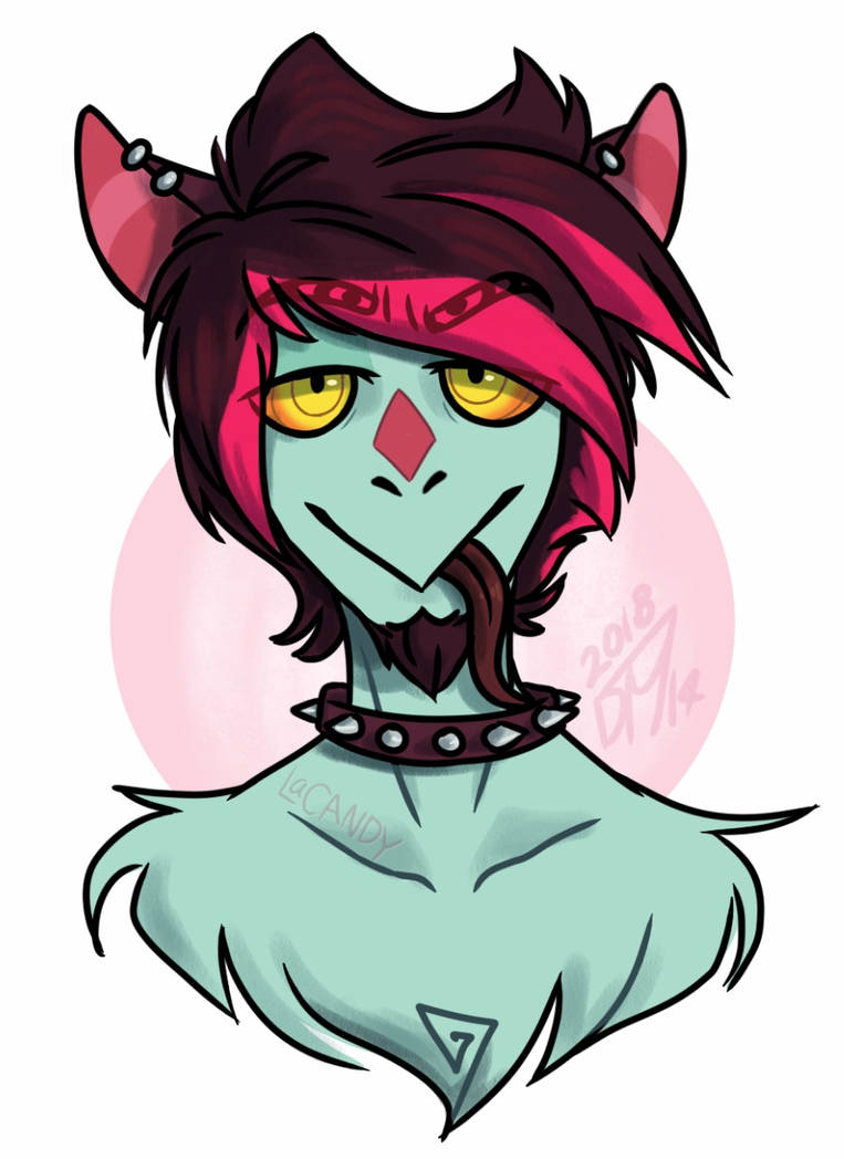 Spider Insects Oc Spider (OC) by laCANDYf on DeviantArt