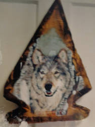 Wolf on Arrowhead