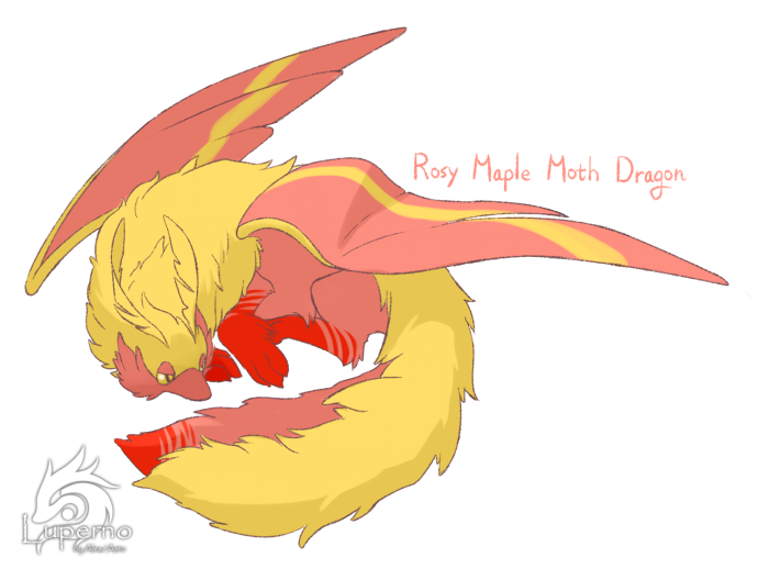 Rosy Maple Moth Dragon