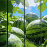 Steam Workshop | Watermelon
