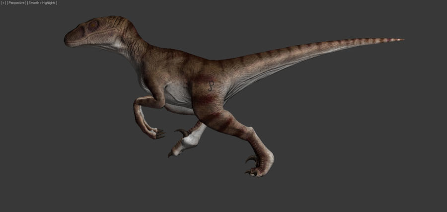 raptor1 by thegreyman1 on DeviantArt