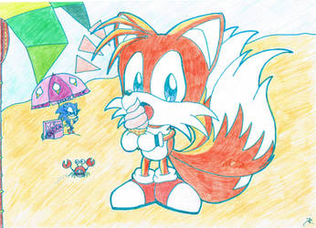 Tails at the Beach