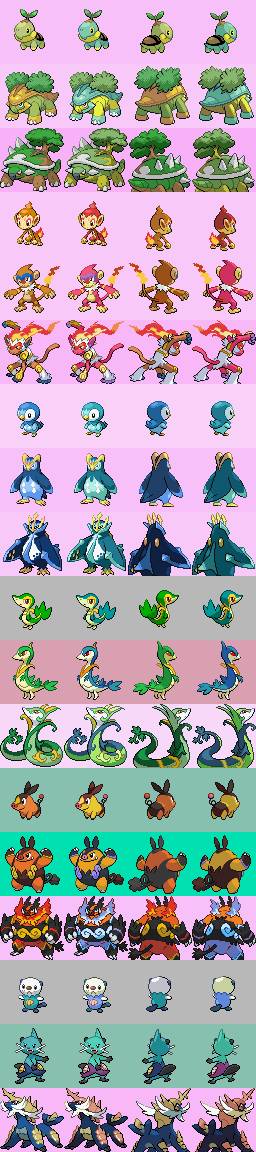 shiny Unova starters :D  Shiny pokemon, Pokemon, Pokemon images