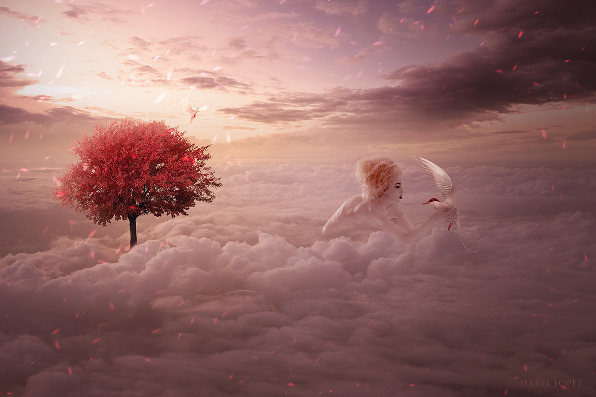 En las nubes!!