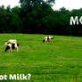 Got Milk?