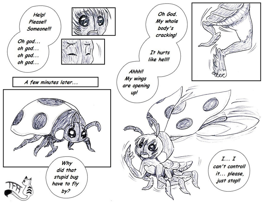 Ladybug 03 by TFed-Artist on DeviantArt