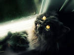 Cat eyes by MispulQa