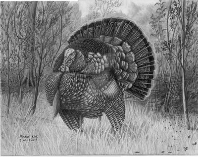 Strutting Turkey by MechanicalGraphite on DeviantArt