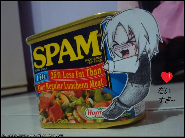 SPAM ga daisuki