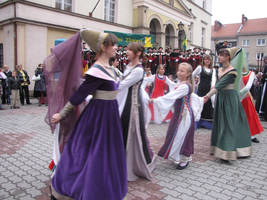 XV-age burgundian dress 07