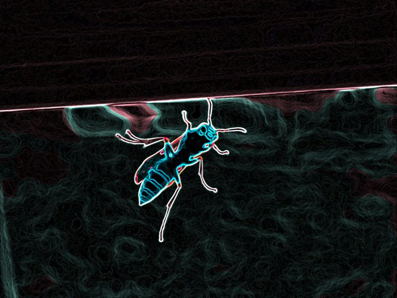 Power Insect by necrocorpse on DeviantArt