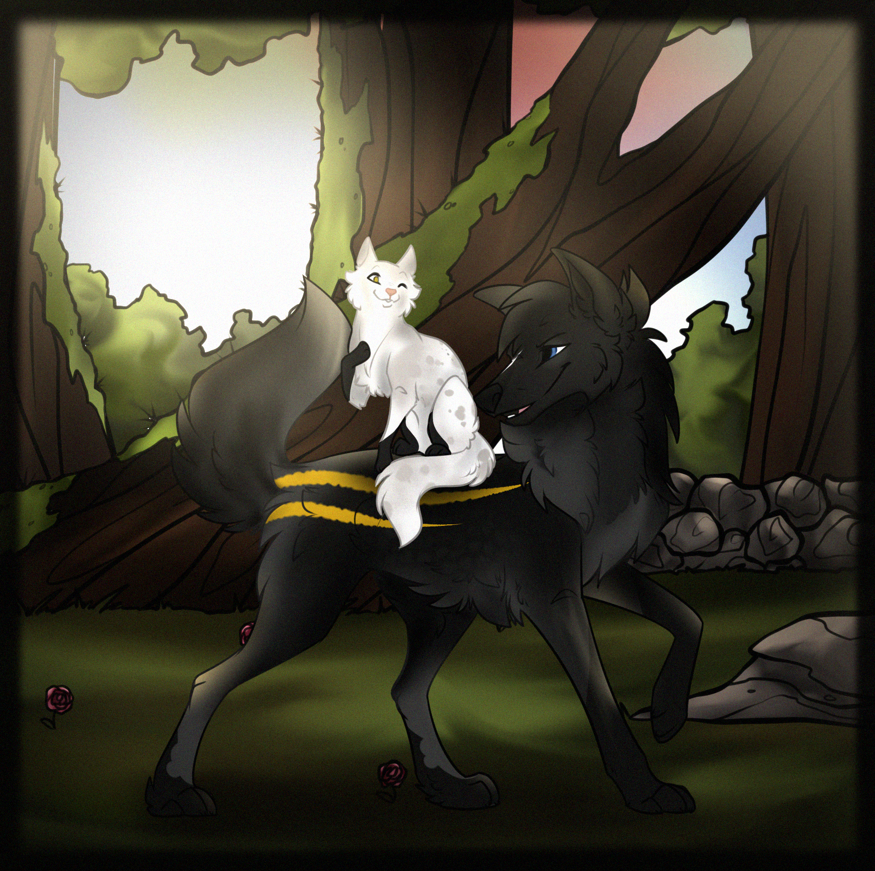 FoV : Still love you