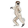 Verreaux's sifaka dancing