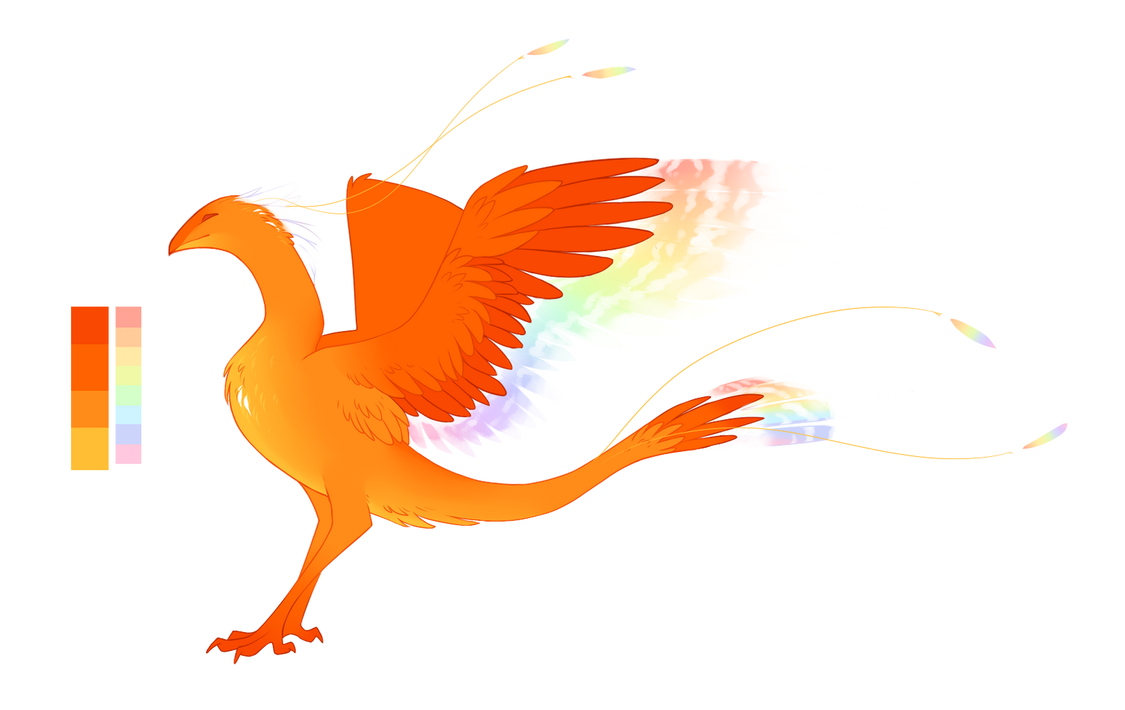 Phoenix ref || OC by Noctrix-Vingast on DeviantArt