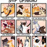 Warriors ship opinions || meme