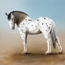 Speckle, draft horse