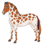 N8329 Padro Import - CLOSED! by Witchcraftsy
