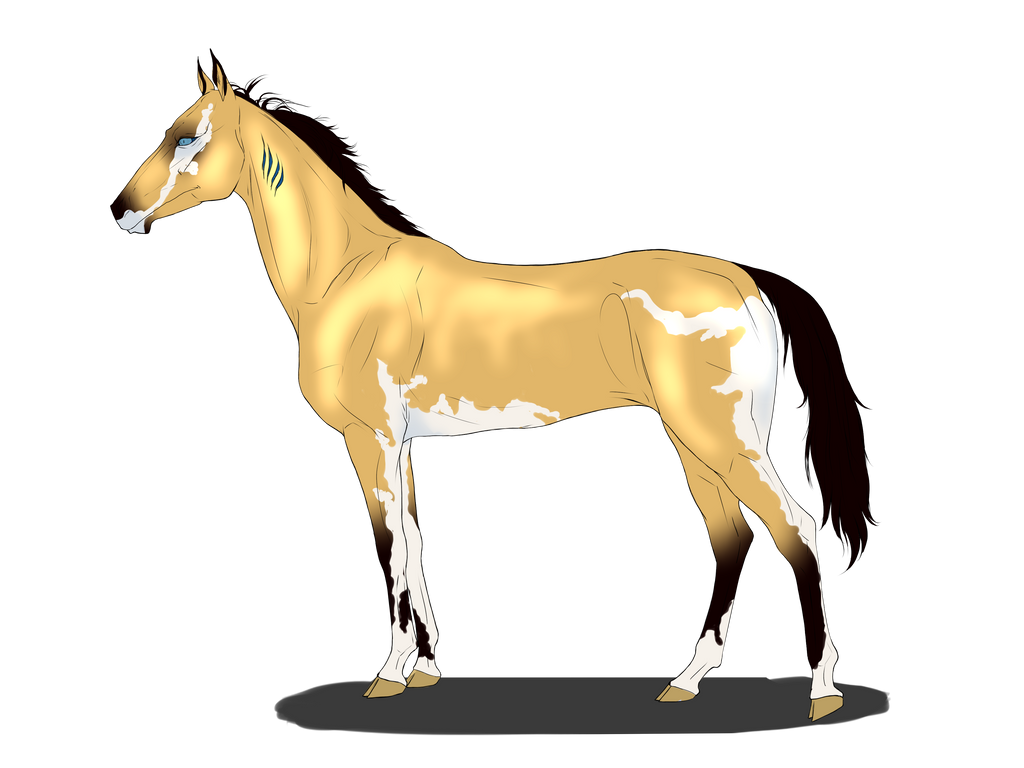 A059 Foal Design