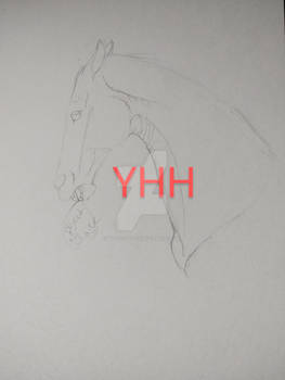 Portrait YHH - CLOSED