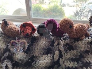 Fall Dino Plushies - AVAILABLE