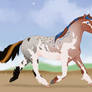 P309 - Padro Import Design (CLOSED)