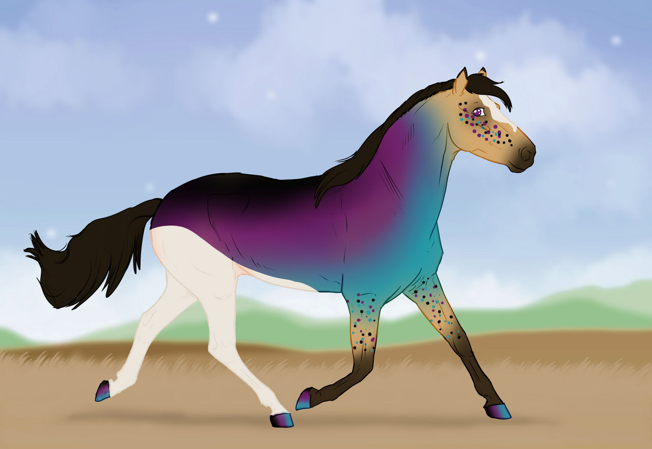 P310 - Padro Import Design (CLOSED)