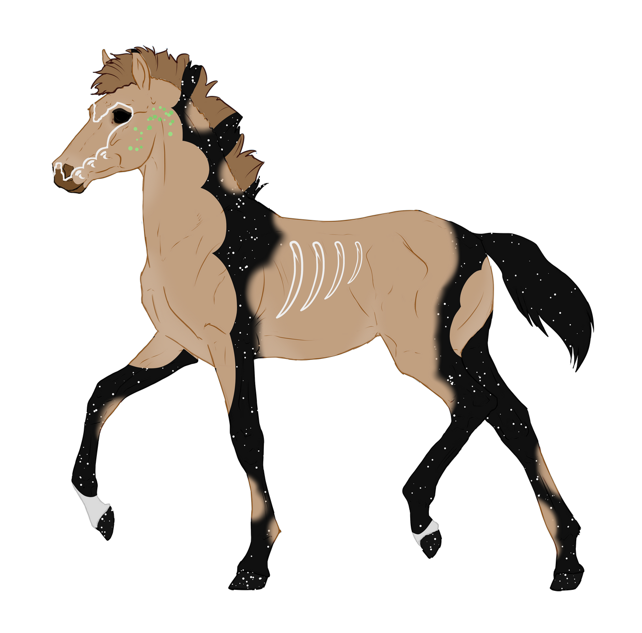 N9273 - Padro Foal Design