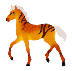 N9705 - Padro Foal Design
