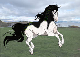 1886 - Ghost in the Night