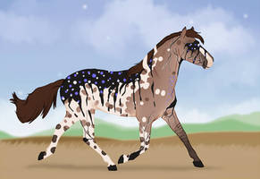 Padro Incompatibility Import