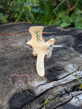 Binderune Vertebrae