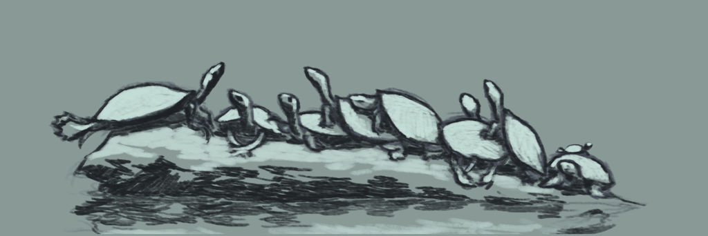 Turtle March Deviantart Three Rocks turtles! by Cherepashich on DeviantArt