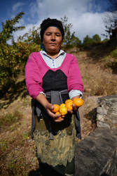 Lady with Oranges