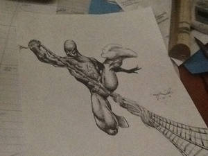 Spidey!!