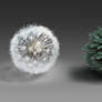 Material Studies - Dandelion and Spruce