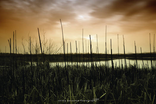 Night long exposure