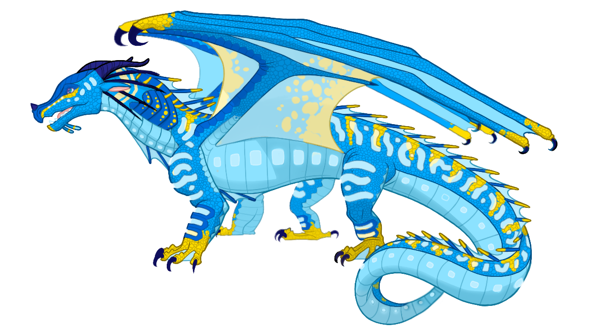 photo Wings Of Fire Hybrids Seawing Rainwing good seawing rainwing hybrid names