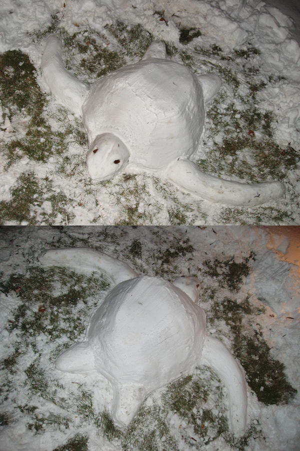 Snow Turtle by Vino86 on DeviantArt