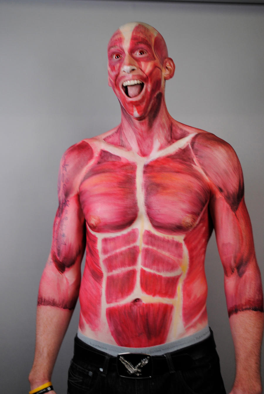 Human Anatomy