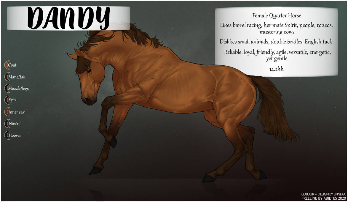 Dandy Refrence Dandy ref sheet by Enneka9129 on DeviantArt