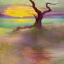 Lone Beach Tree