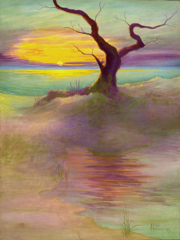 Lone Beach Tree