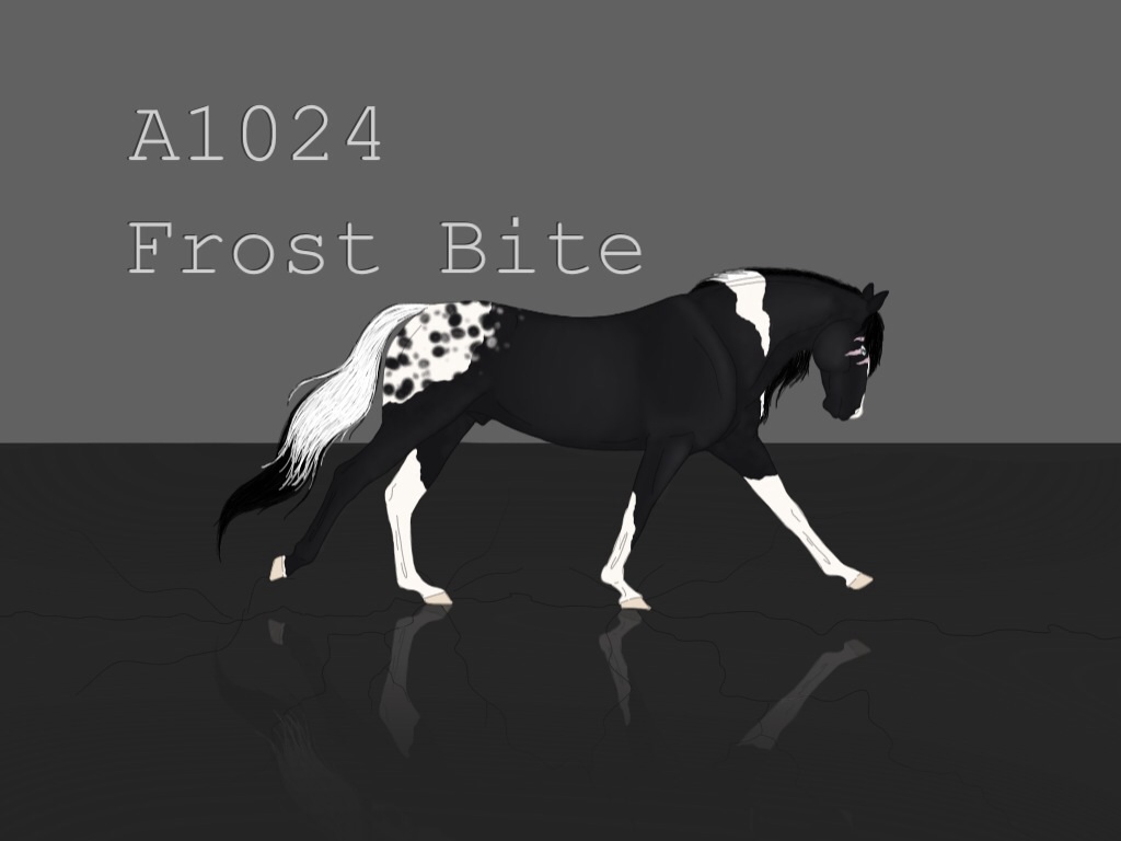 A1024 Frost Bite