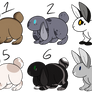 Bunny Adopt {open}