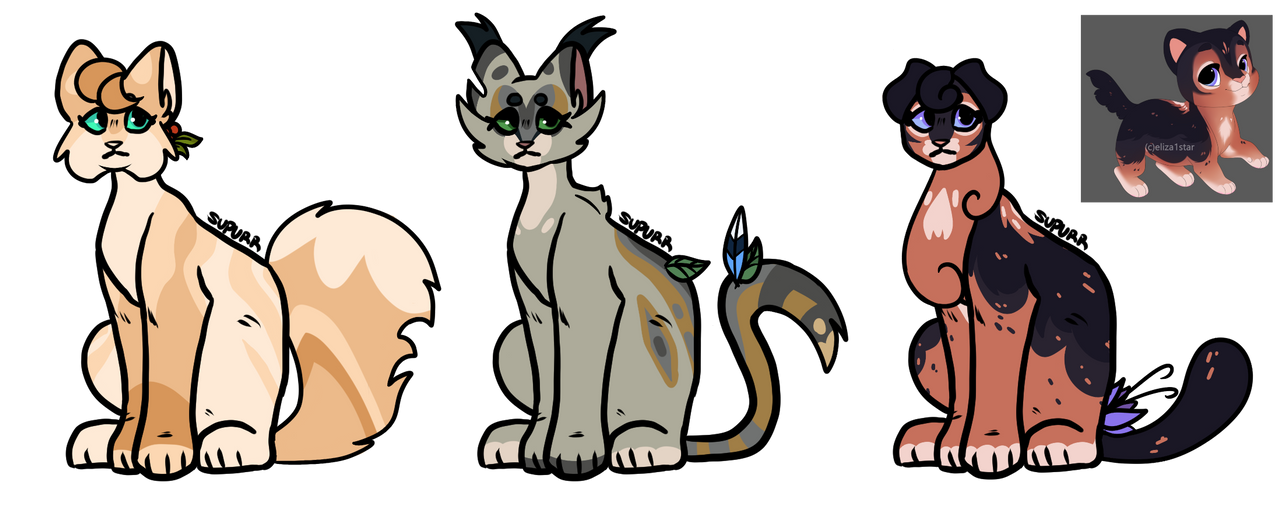 Warriors Cats Clan Adopts #2 (OPEN) by Tiny-Adopts2005 on DeviantArt