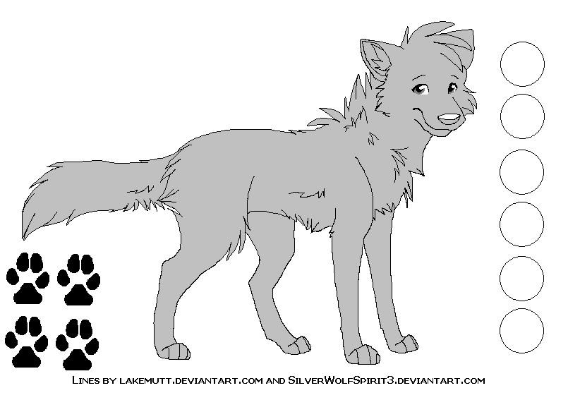 Free Canine Reference Lineart by lakemutt on DeviantArt