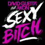 Sexy Bitch- David Guetta ft. Akon